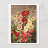 Rood, wit en roze hollyhocks, Christensen Briefkaart (Voorkant)