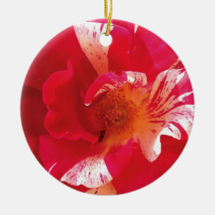 Rood & Wit Rose Foto Cirkel Ornament