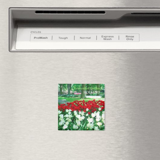 Rood witte tulpentuin magneet (Insitu (Vaatwasser))