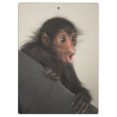 Roodaangezichtspinaap (Ateles paniscus) Klembord (Achterkant)