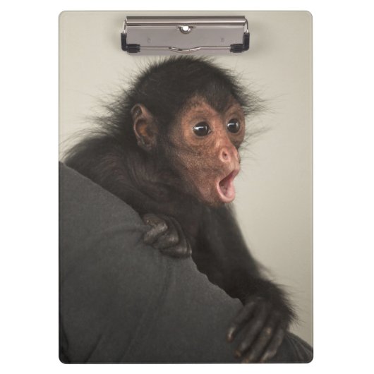 Roodaangezichtspinaap (Ateles paniscus) Klembord (Voorkant)
