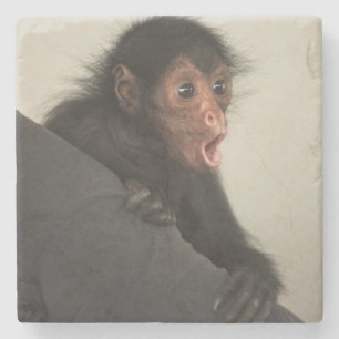 Roodaangezichtspinaap (Ateles paniscus) Stenen Onderzetter
