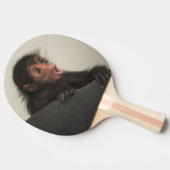Roodaapspinaap (Ateles paniscus) Tafeltennisbatje (Zijkant)
