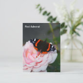Roodadmiraal vlinder briefkaart (Staand voorkant)