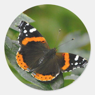 Roodadmiraal vlinder ronde sticker