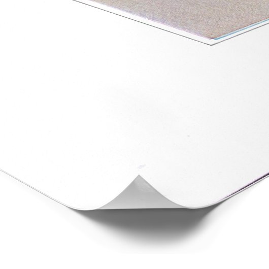 Roodbaars (bloemen en vruchten) — Actaea rubra Poster (Hoek)