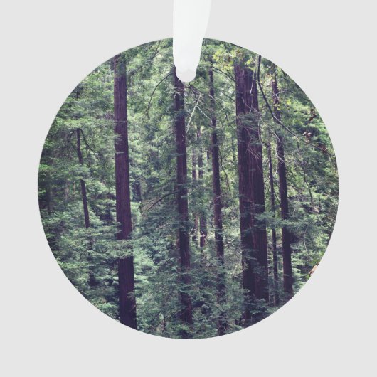 Roodbaarzen #2 Ornament (voorkant)