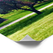 roodbloeiende krabappel Poster (Hoek)