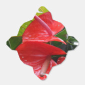 Roodbloemen nemen de voordeur uit bedankdoosjes (Uitgevouwen)