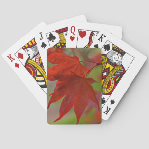 Roodboombladeren Pokerkaarten