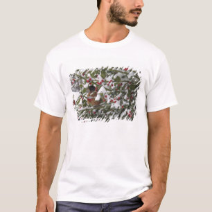 roodborst die schuilt in een hulstboom na sneeuw t-shirt