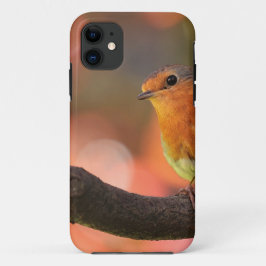 Roodborst op een tak iPhone 11 hoesje