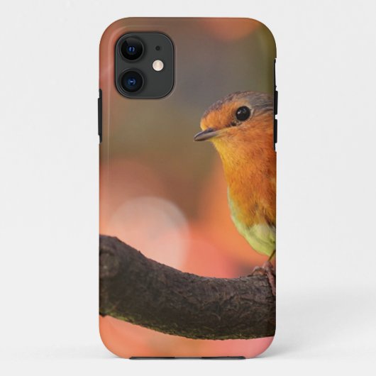 Roodborst op een tak Case-Mate iPhone case (Achterkant)