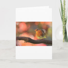 Roodborst op een tak feestdagen kaart