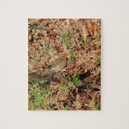 Roodborstje Legpuzzel