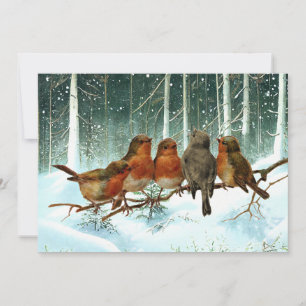 Roodborstjes op tak Sneeuw Bos Winter Kerstmis Feestdagenkaart