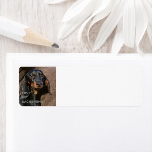 roodbruin en geelbruin etiket (Insitu)