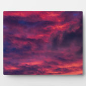 roodbruin fotoplaat (Voorkant)