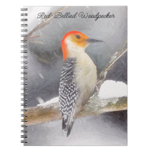 Roodbuikspecht schilderij originele vogelkunst notitieboek