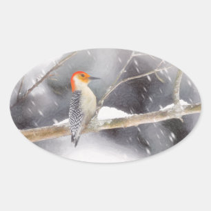 Roodbuikspecht schilderij originele vogelkunst ovale sticker