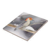 Roodbuikspecht schilderij originele vogelkunst tegeltje (Zijkant)