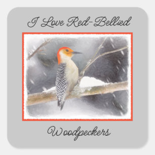 Roodbuikspecht schilderij originele vogelkunst vierkante sticker