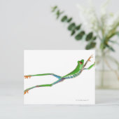 Roodeogboomkikker springt briefkaart (Staand voorkant)