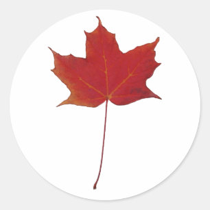 Roodesdoornblad Ronde Sticker