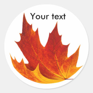 Roodesdoornblad Ronde Sticker