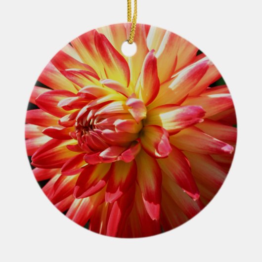 Roodgeel Dahlia Flower Ornament (Voorkant)