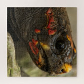 Roodgekleurde schildpad legpuzzel (Horizontaal)