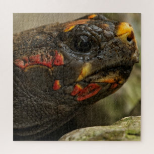 Roodgekleurde schildpad legpuzzel
