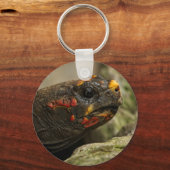 Roodgekleurde schildpad sleutelhanger (Voorkant)