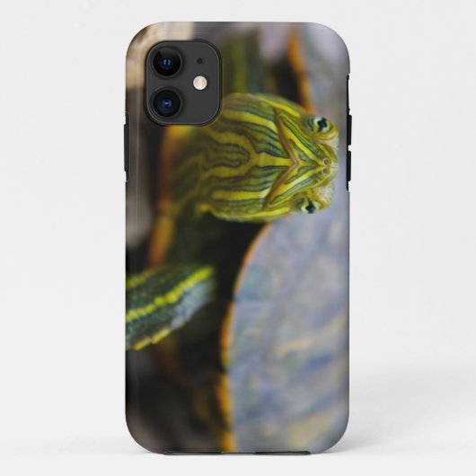 Roodgeoorte schuifschildpad Uitzicht Case-Mate iPhone Case (Achterkant)