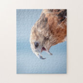 Roodgeschouderde havik op een rots legpuzzel (Verticaal)