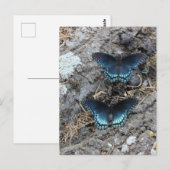 Roodgevlekt Paarse Briefkaart (Voorkant / Achterkant)