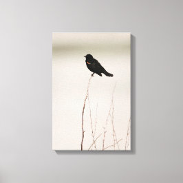 roodgevleugelde merel op tak canvas afdruk