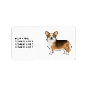 Roodharige driekleurige Pembroke Welsh Corgi en te Etiket