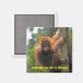 Roodharigen zijn hete Humor Magneet (Voorkant / Achterkant)