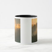 Roodhoutbomen in de kustmist van Marin County. Mok (Midden)