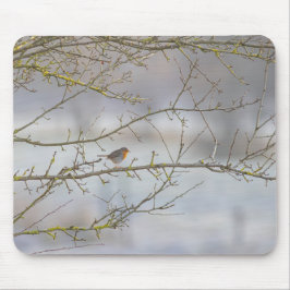 Roodkeelmuis Muismat