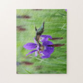 Roodkeelvogel Legpuzzel (Verticaal)