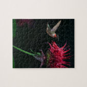 Roodkeelvogel op bijenbalm legpuzzel (Horizontaal)