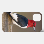 Roodkop specht op hek Case-Mate iPhone case (Achterkant (horizontaal))