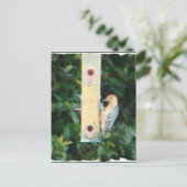 roodkopspecht briefkaart (Staand voorkant)