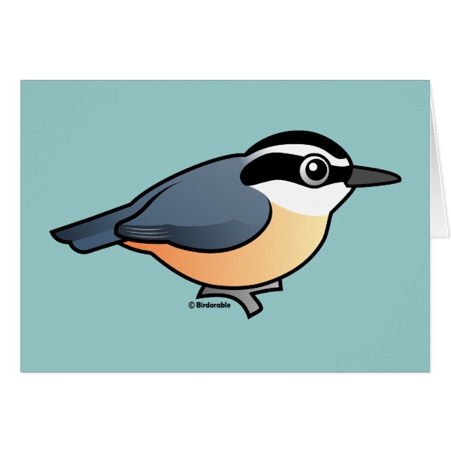 Roodkorrelig Nuthatch (Voorkant Horizontaal)