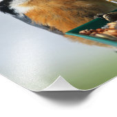 Roodkorrelig Nuthatch Foto Afdruk (Hoek)