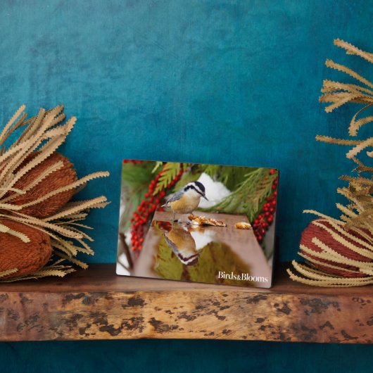 Roodkorrelig Nuthatch Fotoplaat (Zijkant)