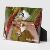 Roodkorrelig Nuthatch Fotoplaat (Zijkant)