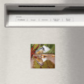 Roodkorrelig Nuthatch Magneet (Insitu (Vaatwasser))